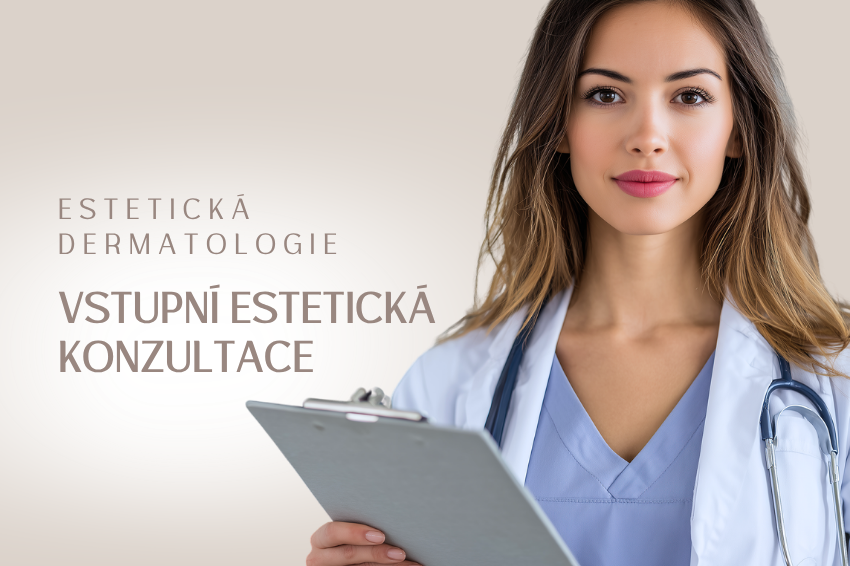 Vstupní estetická konzultace