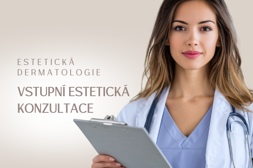 Vstupní estetická konzultace