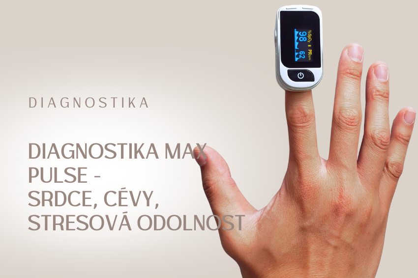 Diagnostika Max Pulse – srdce, cévy, stresová odolnost