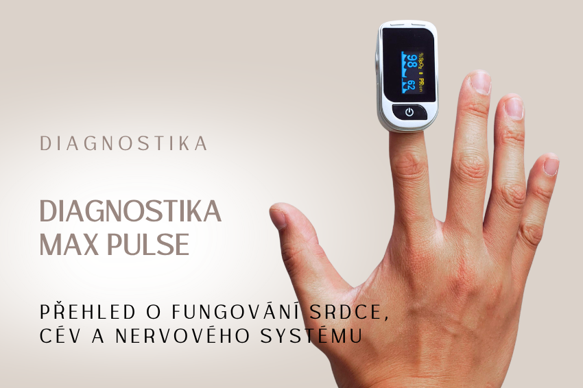 Diagnostika Max Pulse – srdce, cévy, stresová odolnost